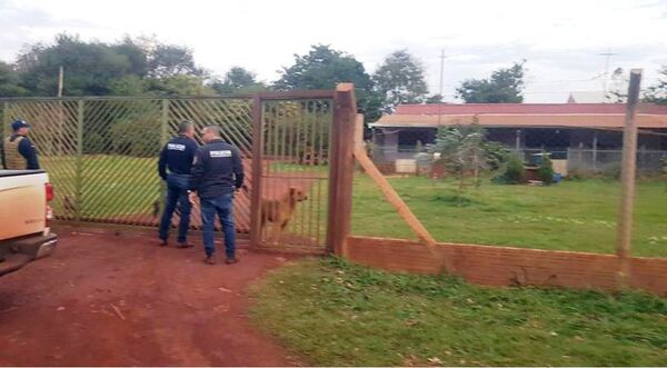 Intento de asalto a Prosegur: Operativos en Hernandarias en busca de evidencias - ABC en el Este - ABC Color