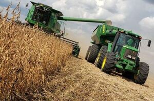 Paraguay aumentó este año sus áreas de cultivo de soja y maíz con respecto a los años 2020 y 2021