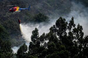 Continúa la ola de calor en Europa con incendios, evacuados y cortes de rutas - .::Agencia IP::.