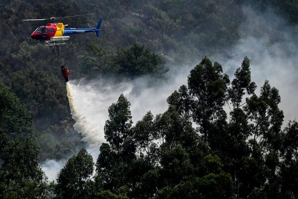 Continúa la ola de calor en Europa con incendios, evacuados y cortes de rutas - .::Agencia IP::.