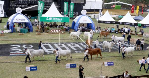 La Nación / Brahman Beef Day: proponen domingo de asado y familia en la Expo 2022