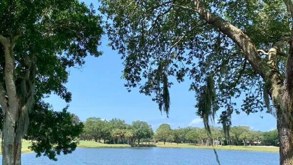 Mujer muere al caer a un estanque con caimanes en Florida