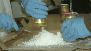 EE.UU. difunde datos de cultivo y producción de cocaína en Colombia, Perú y Bolivia | 1000 Noticias