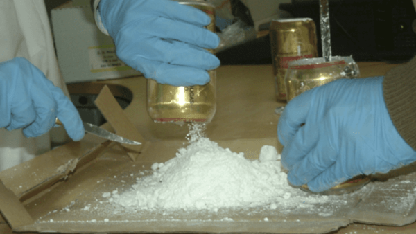 EE.UU. difunde datos de cultivo y producción de cocaína en Colombia, Perú y Bolivia | 1000 Noticias