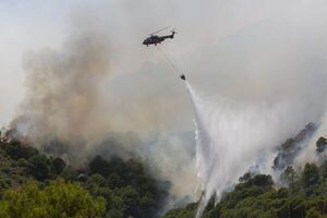 Los incendios golpean el sur de Europa en medio de una ola de calor extrema - Mundo - ABC Color