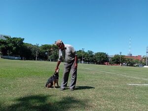 Don Chingolo, una avioneta y un pelotazo - Nacionales - ABC Color