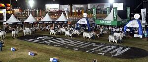 Hoy es el Brahman Beef Day - Empresariales - ABC Color
