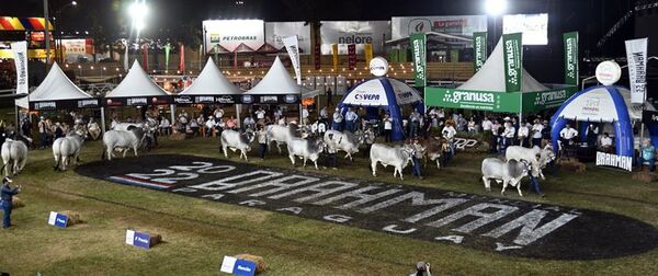 Hoy es el Brahman Beef Day - Empresariales - ABC Color
