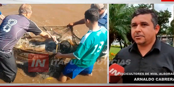 ASOCIACIÓN DE PISCICULTORES DE NVA. ALBORADA PREPARAN TEMPORADA DE “PESQUE Y PAGUE”