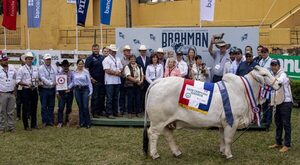 ¡Histórico! Vaca Brahman se vendió a US$ 71.304 en Remate de las Estrellas