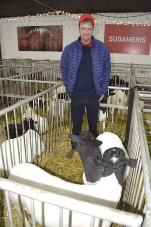 Anuncian exportación de ovinos Dorper a la Argentina - Economía - ABC Color