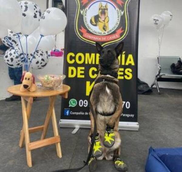 Crónica / [VIDEO] La agente Milady07 llamó la atención del rolllo en el stand de la Policía en la Expo