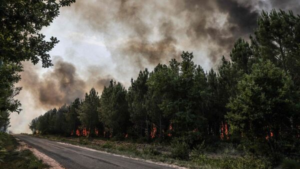 Ola de calor castiga a Europa con temperaturas extremas