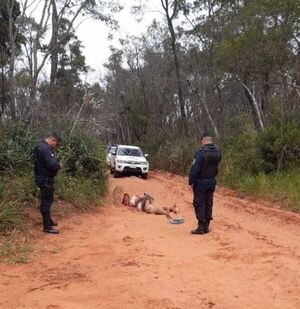 Hallan cuerpo maniatado y acribillado en Amambay
