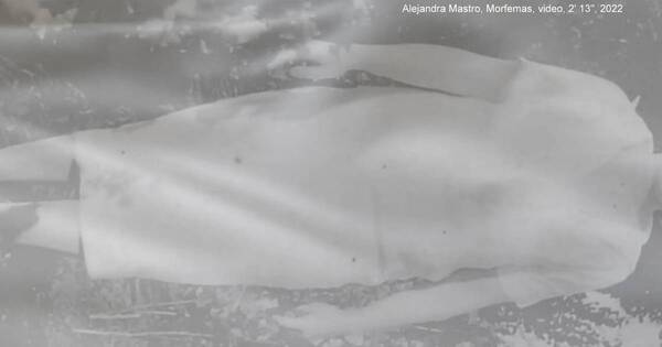 La Nación / Muestra Morfemas: “Las figuras apelan a la fugacidad de su paso por la pantalla”, dijo crítico de arte