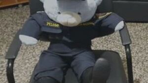 Policías tienen "ositos Fiu Fiu" que sirven para nobles causas