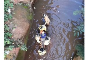 Bomberos Voluntarios rescatan a una mujer del fondo de un arroyo