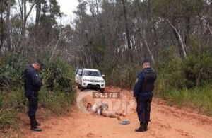 Hallan cadáver maniatado, con una oreja y los genitales cortadas en Cerro Corá