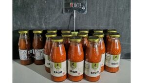 Ergo produce alimentos probióticos y eco amigables y ya cuenta con 54 productos