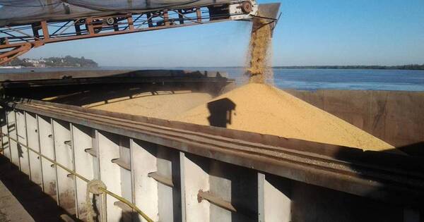 La Nación / Afirman que crisis en Argentina no afectará envíos de commodities