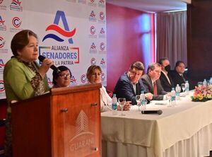 Alianza “Senadores por la Patria” fija espacios en la lista, el subsidio electoral y suplentes - Política - ABC Color