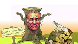 El clan González Daher amasó una gran fortuna con el guiño judicial