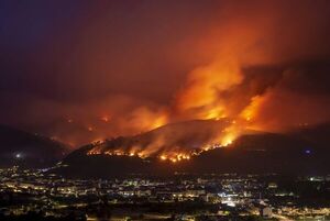 Dos fallecidos y bosques arrasados, balance de incendios que no dan tregua - Mundo - ABC Color