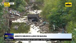 Arroyo Mburicá lleno de basura  - ABC Noticias - ABC Color
