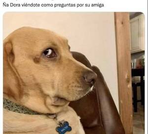 Crónica / "Disculpen, ¿quién es Ña Marilú?"