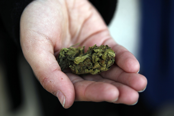 Sin zombis ni excesos, la marihuana cumple cinco años en las farmacias de Uruguay - MarketData