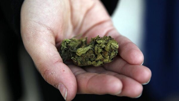 Sin excesos, la marihuana cumple 5 años en las farmacias de Uruguay