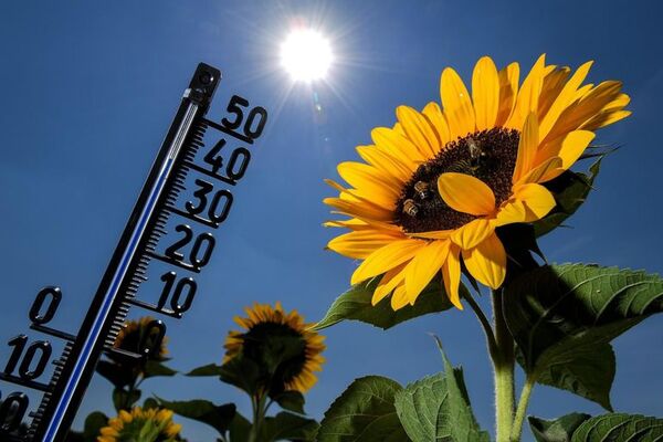 Dublín alcanza un récord histórico de calor con 33 grados - Mundo - ABC Color