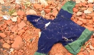 Hallan ropa similar a la del niño desaparecido José Ozuna - Noticiero Paraguay