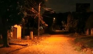 Macabro hallazgo en San Antonio: Perro encuentra un feto en plena vía pública