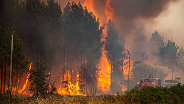 Ola de calor en Europa: Devastadores incendios forestales se propagan en el Mediterráneo
