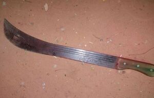 Menor de 13 años habría asesinado a su hermano de un machetazo en la cabeza - Policiales - ABC Color