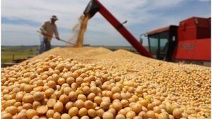 Crisis en Argentina no afectaría exportaciones de soja paraguaya | Exportaciones | 5Días