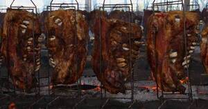 La Nación / Con gran expectativa Naranjal prepara su Fiesta de la Costilla para el domingo