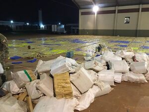 Decomisan más de 20 toneladas de marihuana en Amambay - Policiales - ABC Color