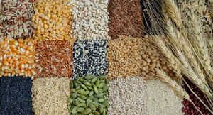 Altos precios y menos producción: La escasez de alimentos en el mundo está cada vez más cerca - MarketData