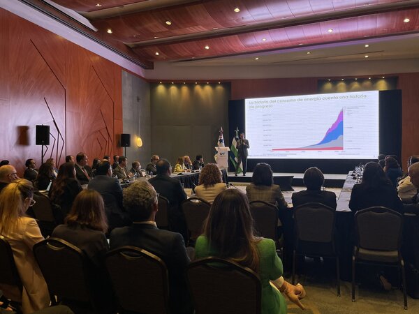 CAF realizó taller sobre desafíos de transición energética en América Latina - .::Agencia IP::.
