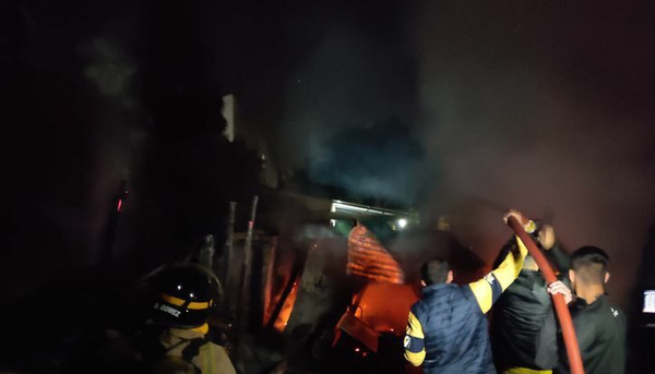 Tres mascotas mueren calcinadas en incendio de precaria vivienda