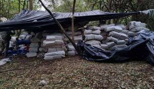 SENAD incautó casi 22 toneladas de marihuana en Amambay