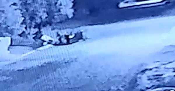 Policía recupera heladera y trompito en un yuyal