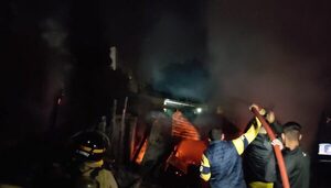 Tres mascotas mueren calcinadas en incendio de precaria vivienda