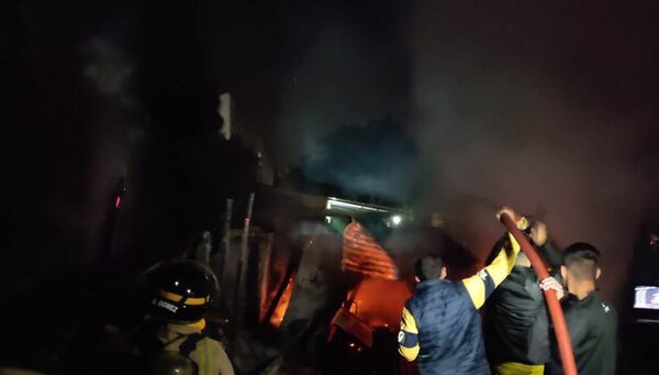 Tres mascotas mueren calcinadas en incendio de precaria vivienda