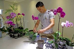 Diario HOY | El floreciente negocio de las orquídeas: inauguran invernadero modelo en Luque