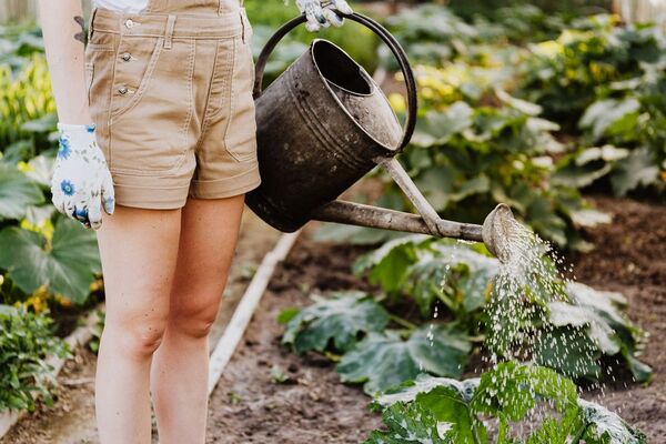 ¿Sabías que la leche puede ser beneficiosa para tus plantas?