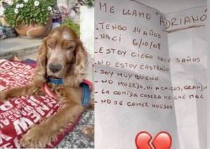 Crónica / [VIDEO] Graban a mujer que abandonó a su perro ciego junto a una carta
