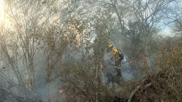 Alarmante precariedad en infraestructura de bomberos forestales de Bahía Negra - Noticias del Chaco - ABC Color